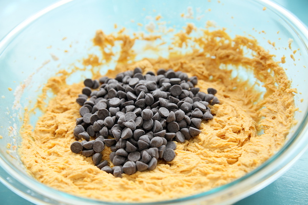 Pumpkin Chocolate Chip Cookies