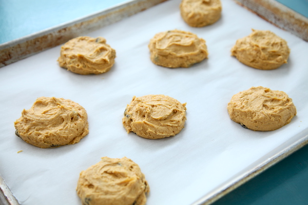 Pumpkin Chocolate Chip Cookies